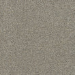 gold standard note carpet sample by dreamweaver carpet
