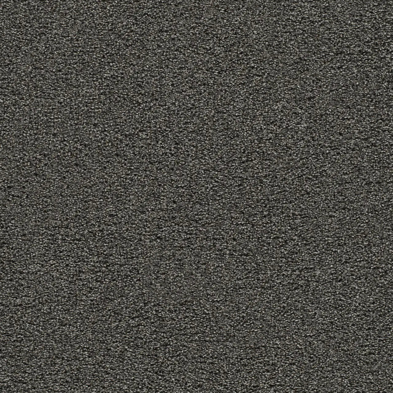 gold standard onyx carpet sample by dreamweaver carpet