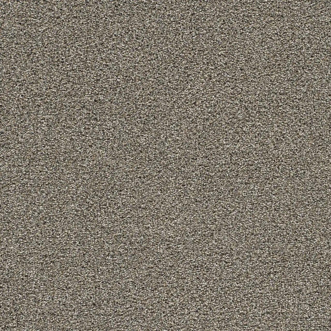 gold standard pewter carpet sample by dreamweaver carpet