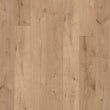 This is an up-close image of the laminate floor woodtech  in the color  pine island