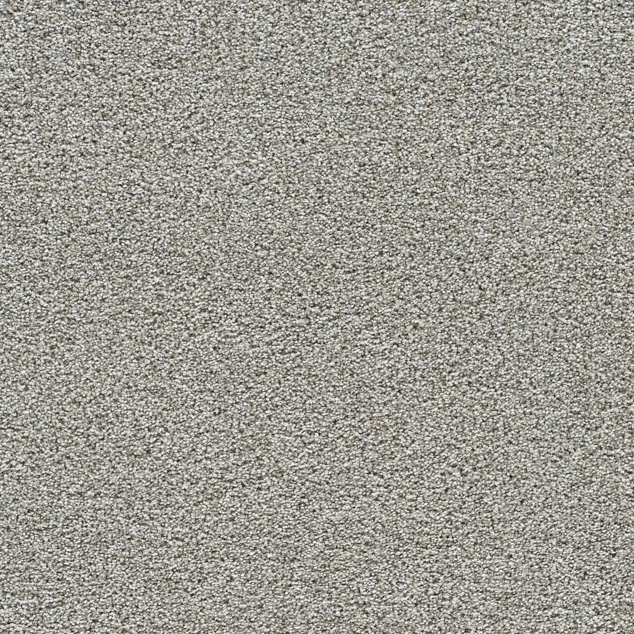 gold standard quartz carpet sample by dreamweaver carpet