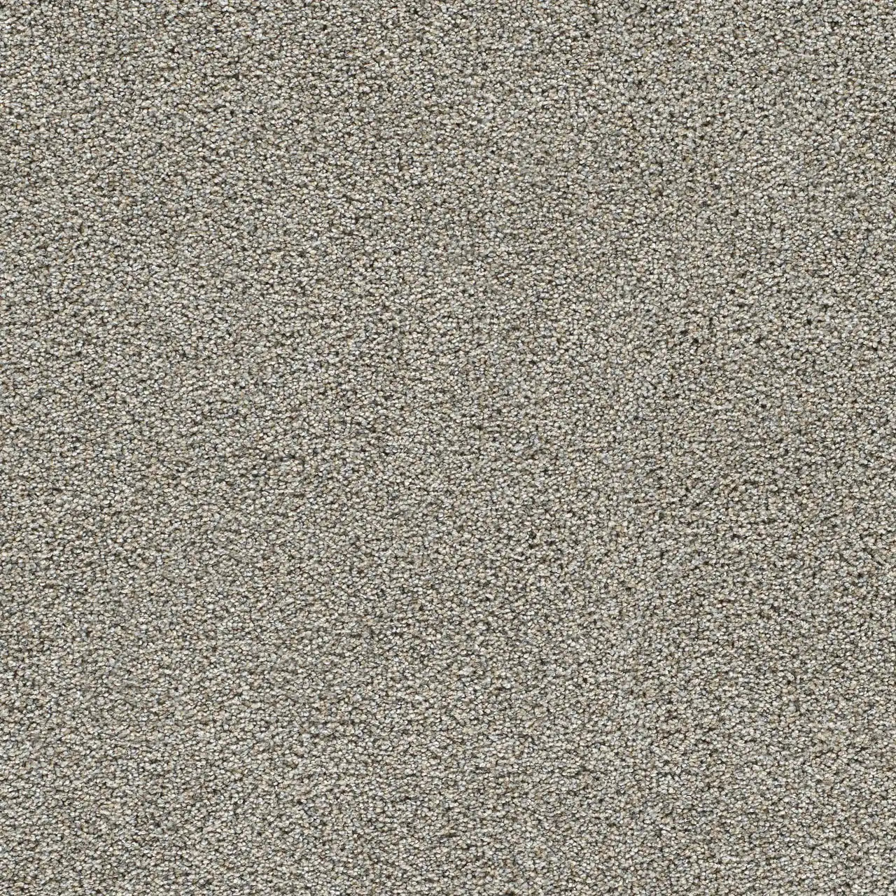 gold standard sterling carpet sample by dreamweaver carpet