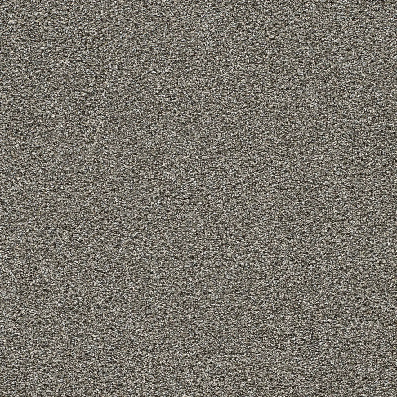 gold standard topaz carpet sample by dreamweaver carpet